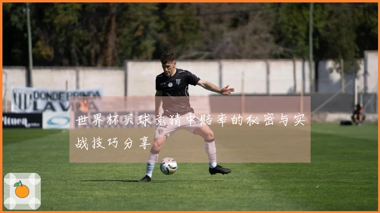世界杯买球竞猜中赔率的秘密与实战技巧分享