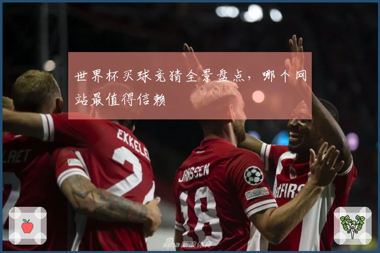 世界杯买球竞猜全景盘点，哪个网站最值得信赖