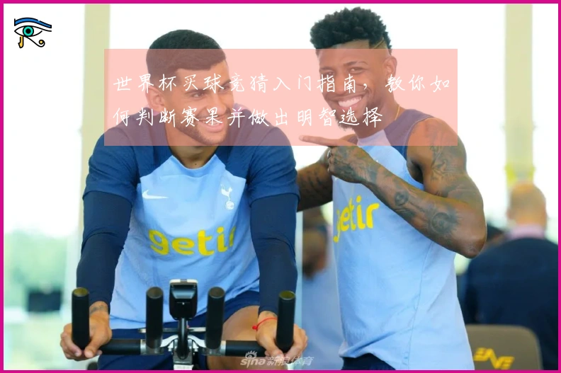 世界杯买球竞猜入门指南，教你如何判断赛果并做出明智选择