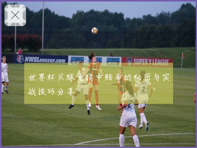 世界杯买球竞猜中赔率的秘密与实战技巧分享