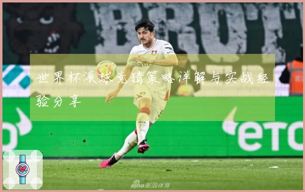 世界杯滚球竞猜策略详解与实战经验分享